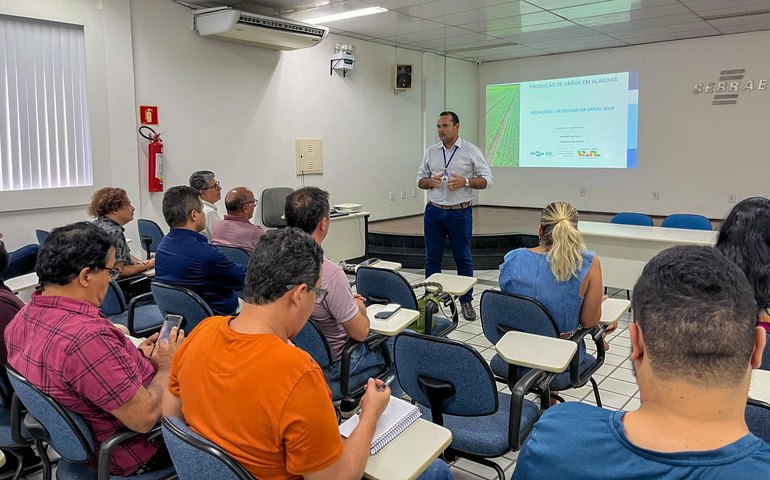 Demanda interna de grãos pode chegar até 250 mil toneladas em Alagoas este ano