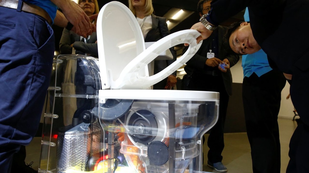 Sensor de impressão anal, pessoas que falam ao contrário e reanimação de aranhas: veja vencedores de prêmio para pesquisas bizarras