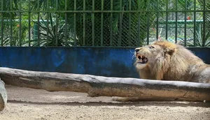 Zoológico de Aracaju é fechado por dois dias nesta semana / Foto: Foto: Governo de Sergipe/Arquivo