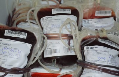 Hemoal Maceió promove Campanha de Doação de Sangue para o Carnaval 
