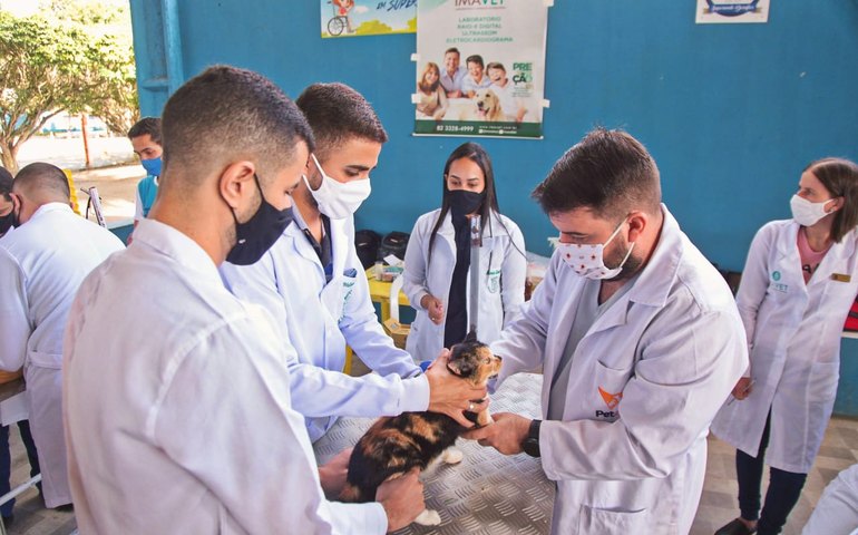 Programa realiza triagem para castração de cães e gatos em Arapiraca