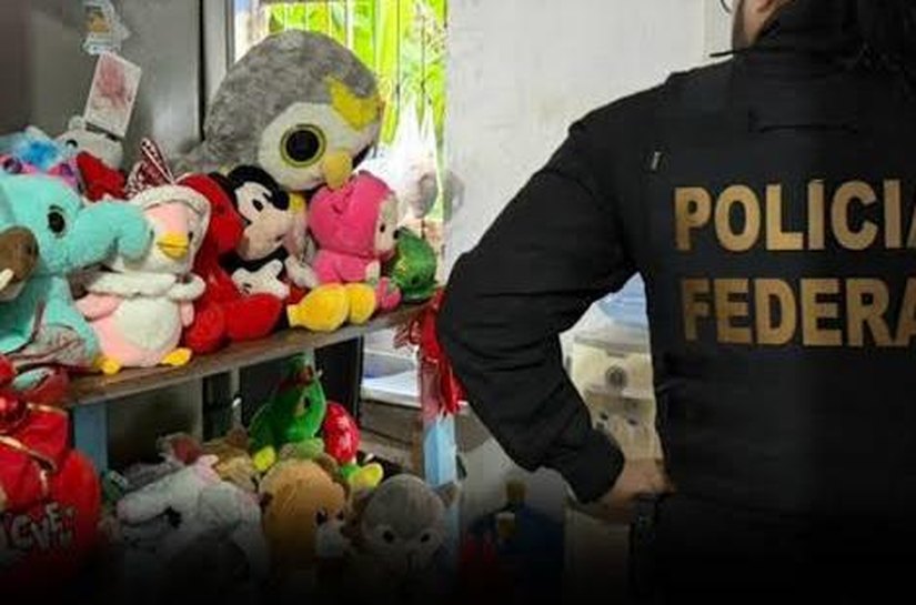 Prefeitura de Palmeira publica nota de apoio às ações da Polícia Federal contra abuso e exploração sexual de crianças