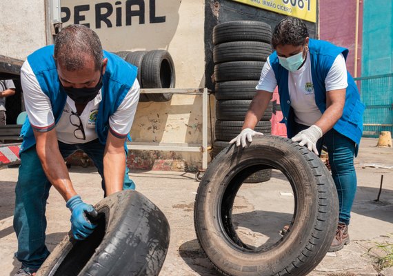 Mutirão de combate à dengue em Maceió começa segunda-feira (29)