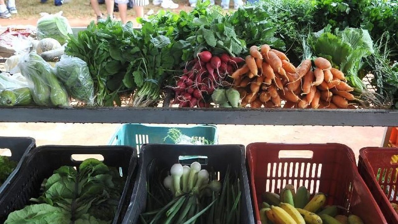 Encontro em Paris busca compromissos políticos por alimentação global