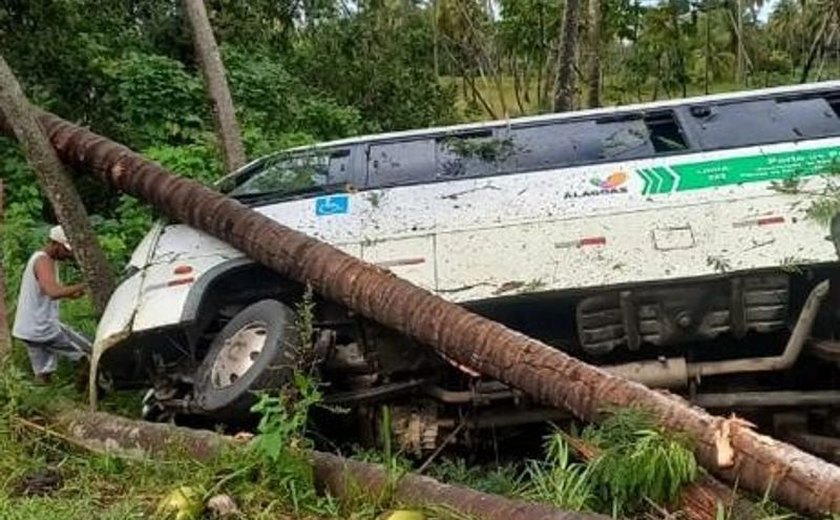 Micro-ônibus de transporte complementar tomba na AL-101 Norte