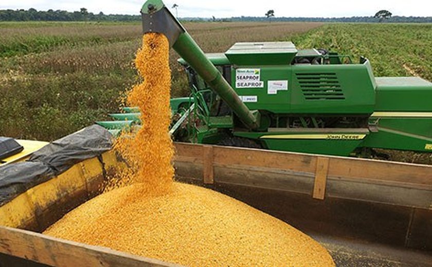 Safra 2025 alcançará recorde de 341,2 milhões de t e será, 16,6% maior que a de 2024, diz IBGE