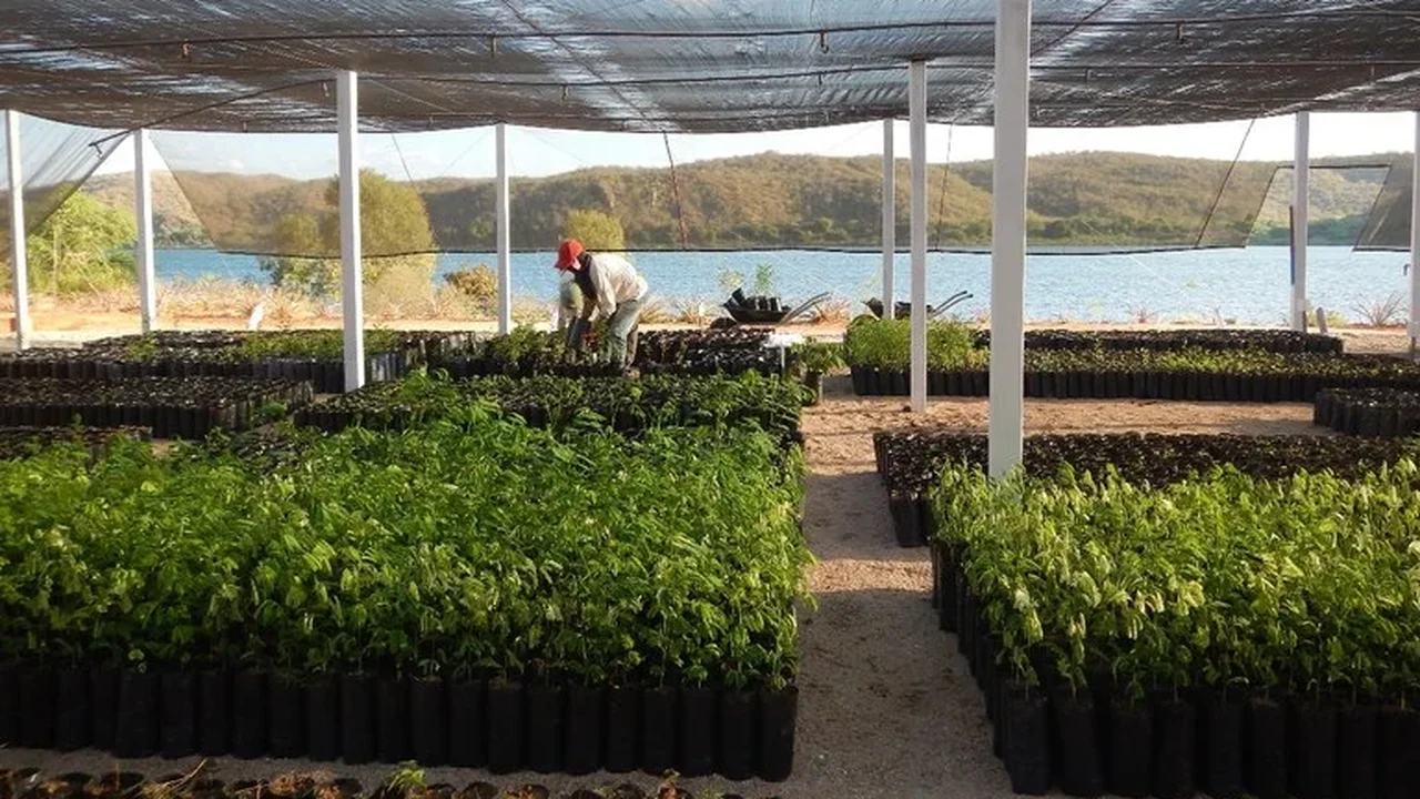 Projeto coordenado pela Ufal Penedo aprova investimento de R$ 2,5 milhões