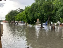 WhatsApp Image 2026-03-02 at 17.10.33.jpeg 