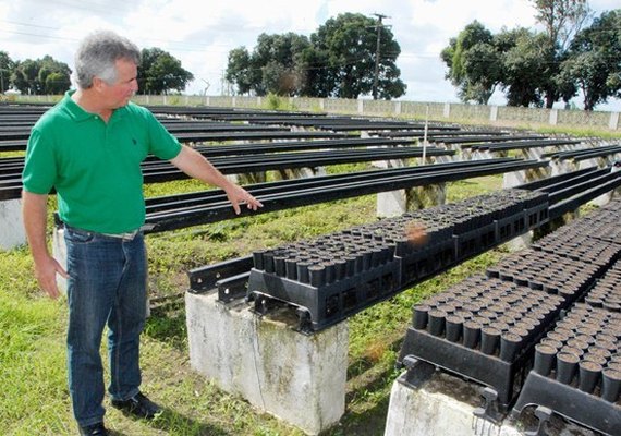 Alagoas cultivará plantas para produção de fitoterápicos do SUS