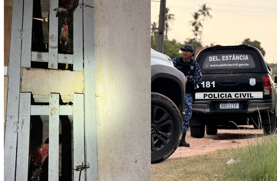 Azul e Branco Minimalista Brochura Médica Com Três Dobras (1) / Foto: Foto: SSP/SE