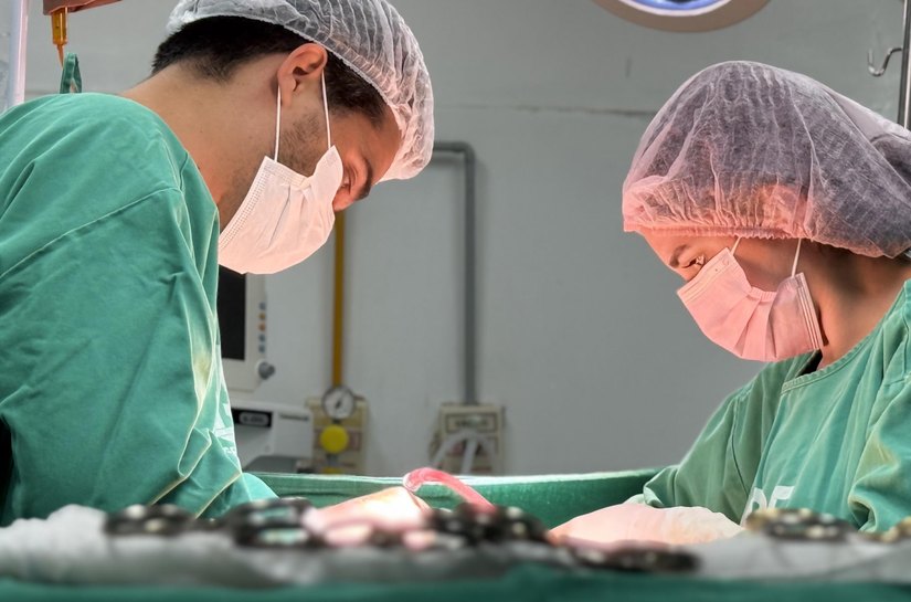 HGE inicia o fim de semana realizando captação de dois rins e um fígado para transplante
