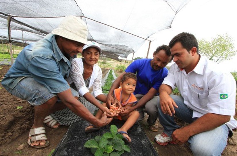 Governador institui Semana Estadual da Agricultura Familiar em Alagoas