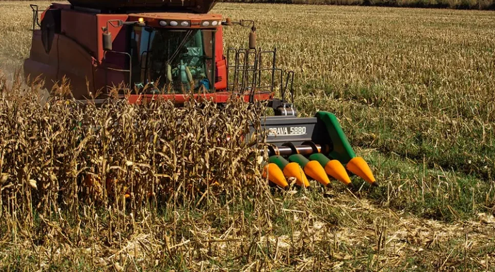Senar promove capacitação gratuita para produtores de milho em Carira; veja como participar / Foto: Foto: CNA/Divulgação