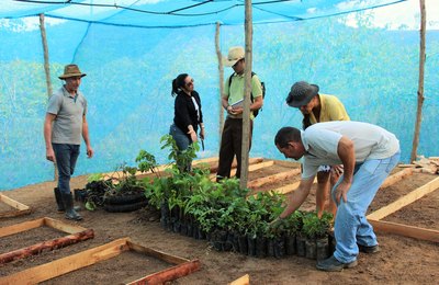 Cooperativa em Flexeiras inicia projeto de viveiro de mudas com irrigação