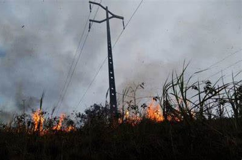 Equatorial Alagoas chama atenção para os prejuízos causados pelas queimadas na rede elétrica