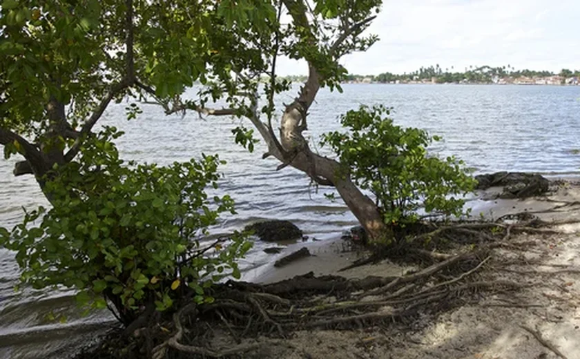 Corpo de jovem é encontrado às margens da Lagoa Mundaú em Maceió