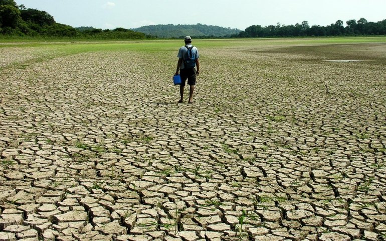 Seca provocou prejuízos à produção cafeeira no Brasil em 2020