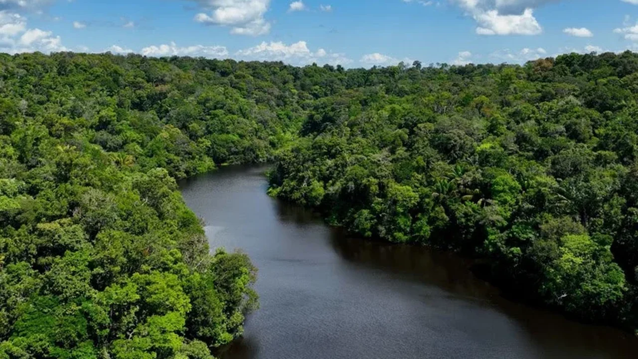 No Dia Mundial do Meio Ambiente, Governo do Brasil ressalta avanços conquistados pelo país desde 2023