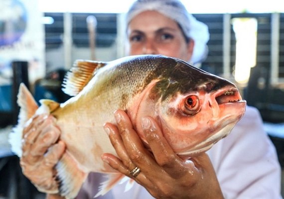 Seagri promove Feira do Peixe Vivo em Marechal Deodoro