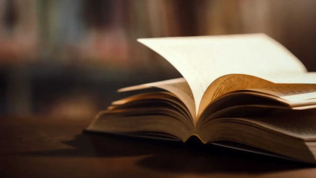 Dia Mundial do Livro: ler ainda importa