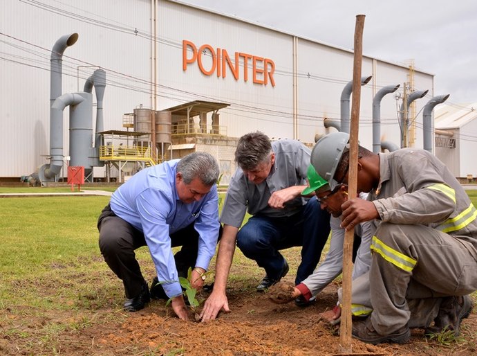 Árvore símbolo de Alagoas marca parceria entre Pointer e Seagri