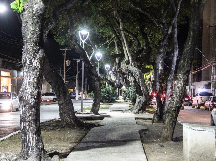 Prefeitura de Maceió realiza poda em árvores no bairro da Jatiúca