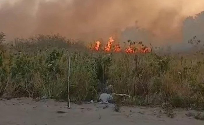 Incêndio atingiu área de vegetação na região da Rota do Mar, em Maceió