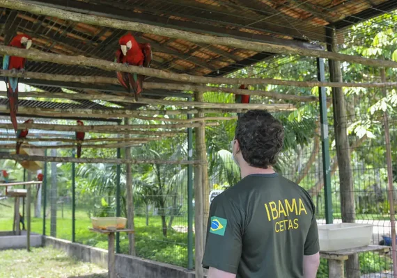 Servidores do meio ambiente decidem entrar em greve no dia 24