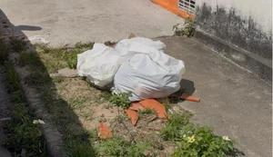 Bebê é encontrado morto dentro de sacola por catadora de recicláveis em Delmiro Gouveia