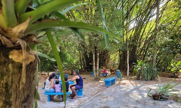 Parque Municipal de Maceió