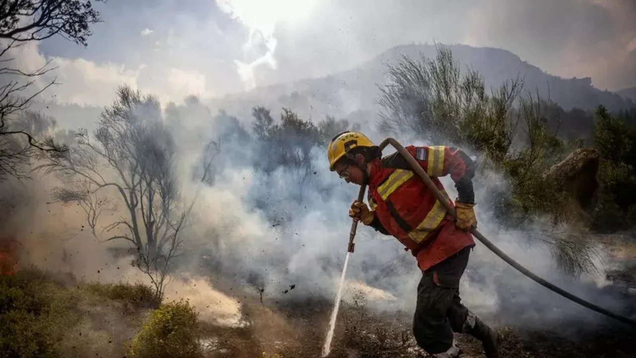 Chamas devoram mais de 60 mil hectares na Patagônia argentina