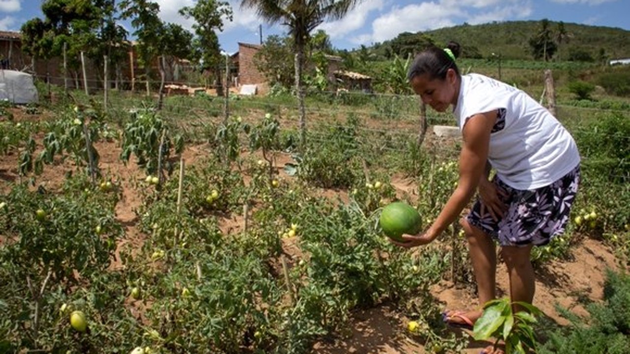 Agricultura mobiliza equipes de apoio à realização do Cadastro Ambiental Rural