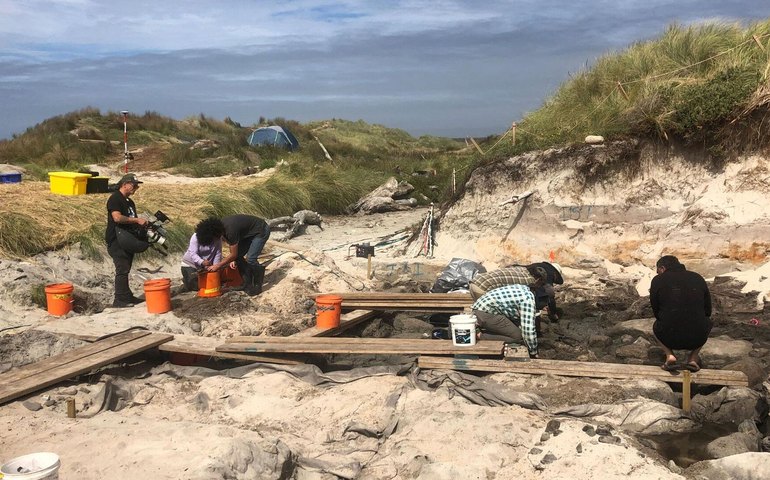 Arqueólogos revelam canoa polinésia antiga que conta muito sobre história da Nova Zelândia (FOTOS)