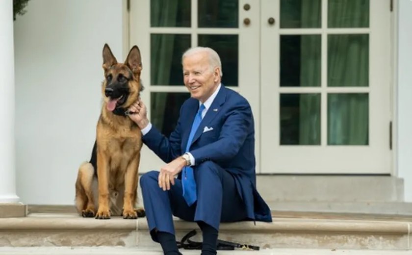 Cachorro de Biden é submetido a novo treinamento após morder agentes do Serviço Secreto