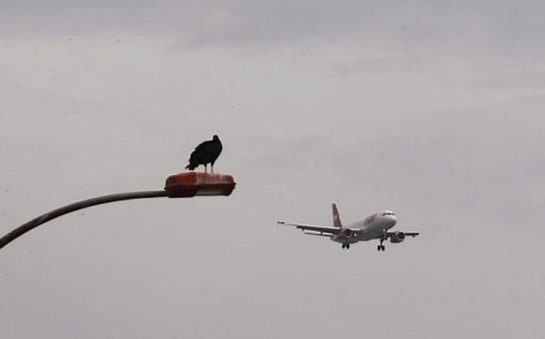 Estado quer resolver problema do lixo no entorno do Aeroporto de Maceió