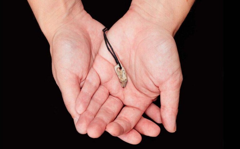 Dente de foca usado como pingente revela redes comerciais na Europa há 15 mil anos