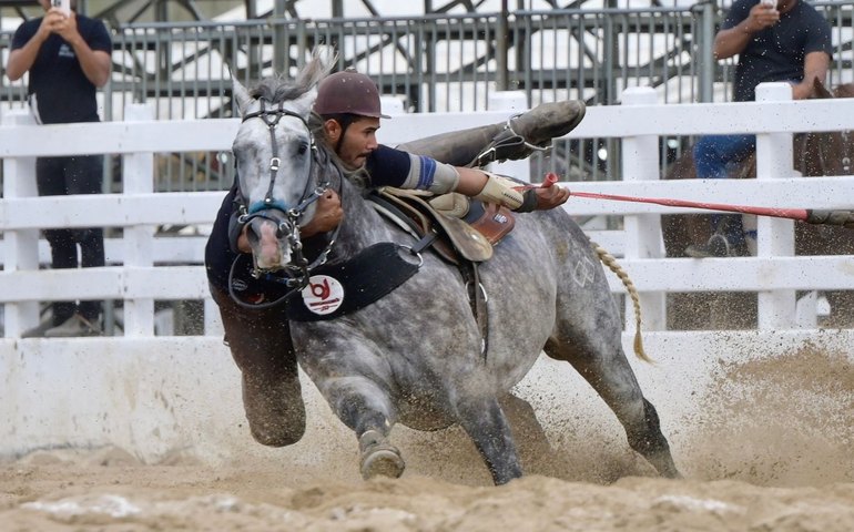 Alagoas tem o mais novo campeão brasileiro de vaquejada: Brocoió Júnior conquista o Circuito Nacional 2025