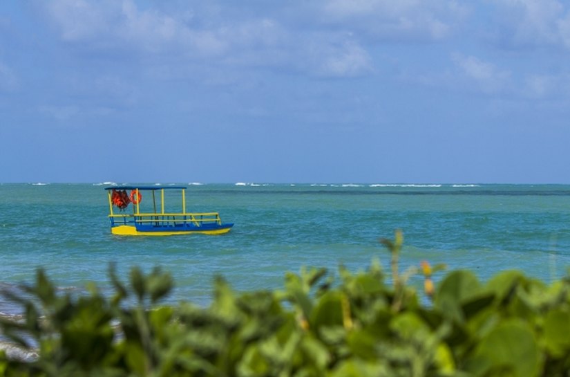 Rota ecológica do litoral Norte é destaque na revista de bordo da Gol