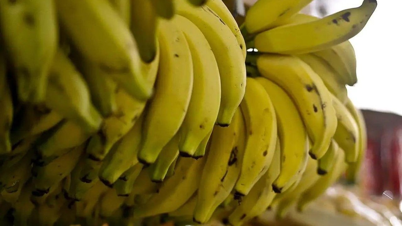 Cientistas russos desenvolvem purê de frutas e vegetais com potencial antidepressivo
