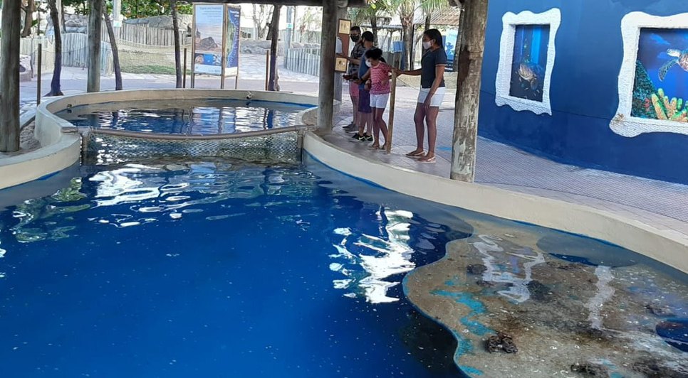 OCEANÁRIO ARACAJU  / Foto: Projeto Tamar