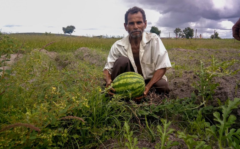 Novo pagamento do Garantia-Safra beneficia cerca de 5 mil agricultores alagoanos