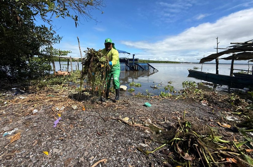 Alurb inicia ações para conter avanço das Baronesas na Lagoa Mundaú