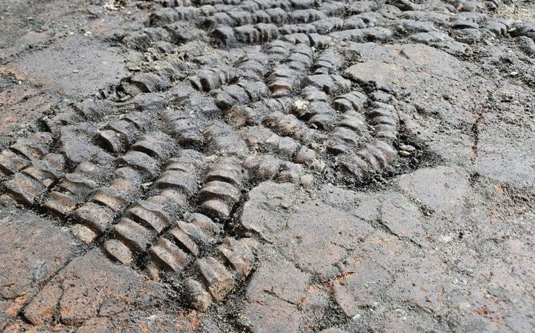 Misterioso piso de ossos antigos é descoberto nos Países Baixos (FOTOS)