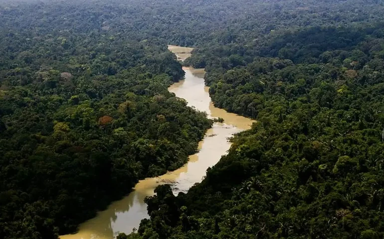 França planeja construir uma prisão de segurança máxima na Amazônia