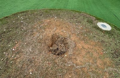 Muda de Ipê recém plantada no novo Mirante da Santa Amélia é furtada por populares