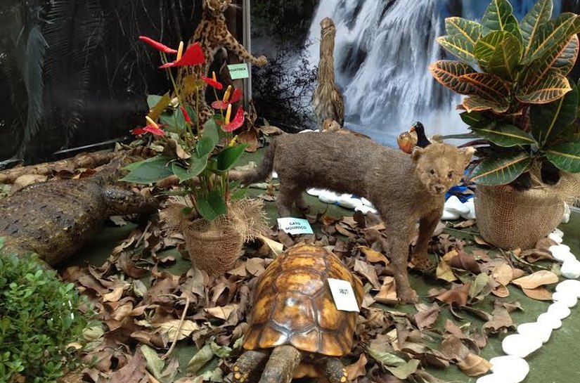 Pátio Maceió celebra Mês Mundial do Meio Ambiente