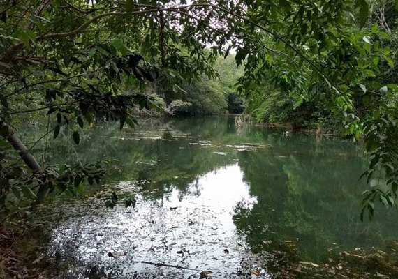 Proprietários de RPPN e agricultores familiares têm 20 dias para se inscrever no Programa de Pagamento por Serviços Ambientais