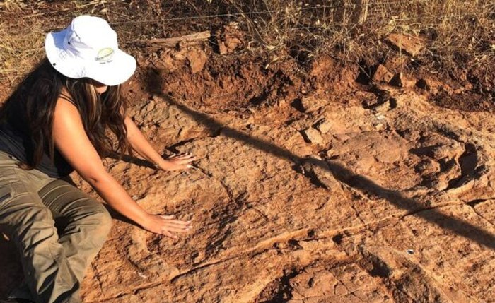 descoberta começou em 2022, quando estudantes de Geologia da UFRN encontraram marcas