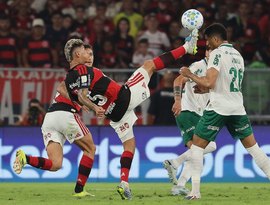 CBF marca 'final' do Brasileirão entre Palmeiras x Flamengo para 21 de novembro