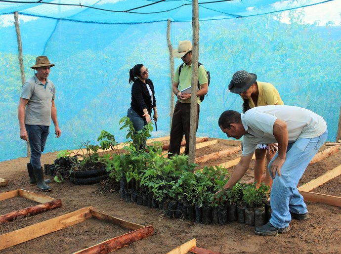 Cooperativa em Flexeiras inicia projeto de viveiro de mudas com irrigação